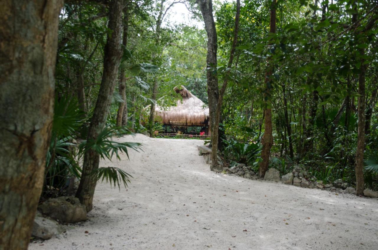 Rotamundos Mama Loomm Hotel Playa del Carmen Buitenkant foto