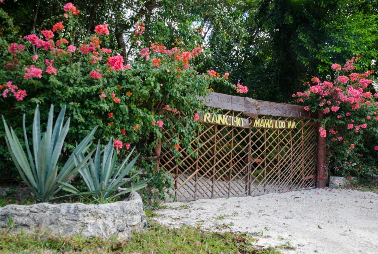 Rotamundos Mama Loomm Hotel Playa del Carmen Buitenkant foto