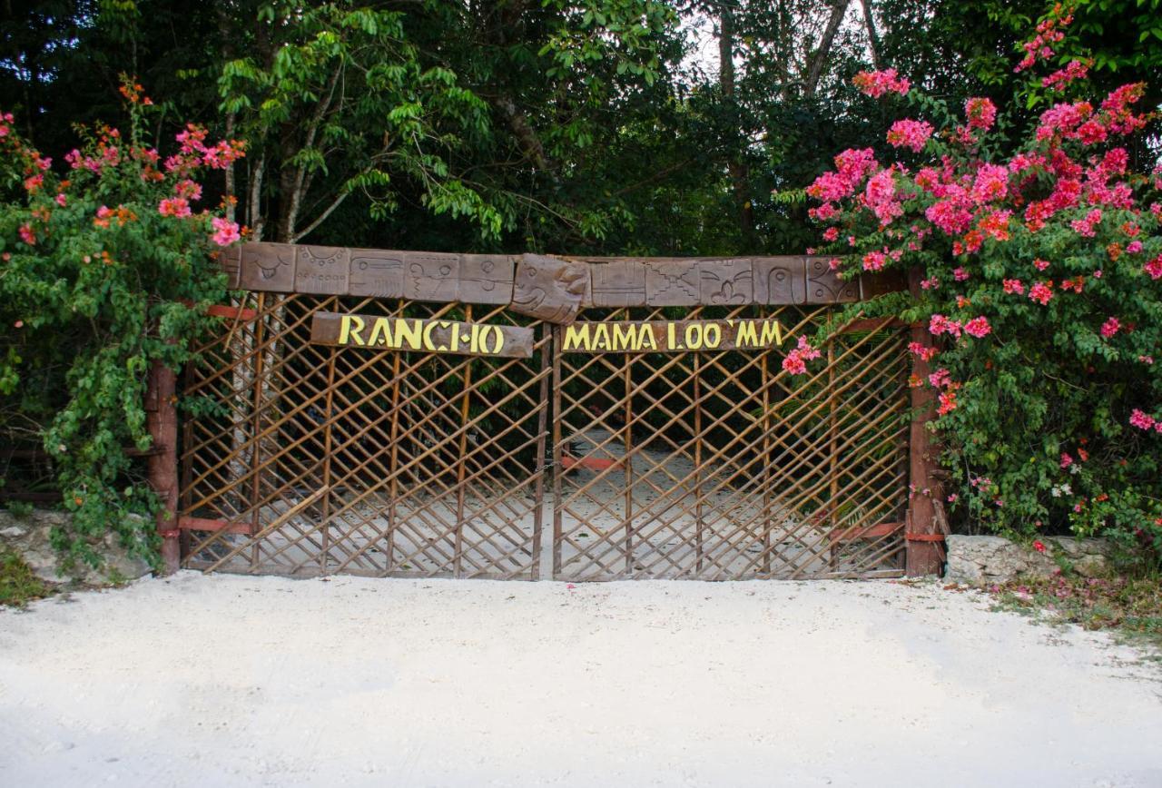 Rotamundos Mama Loomm Hotel Playa del Carmen Buitenkant foto